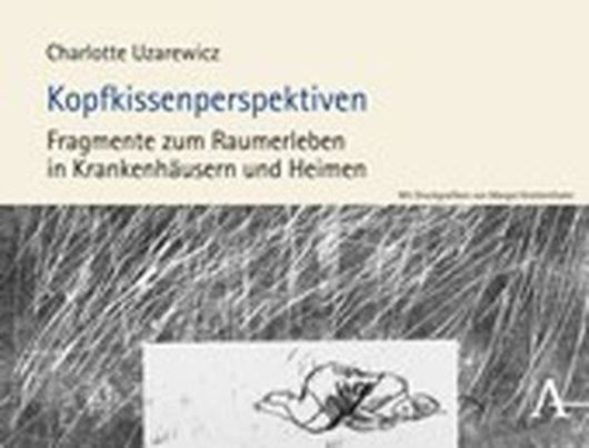Kopfkissenperspektiven   