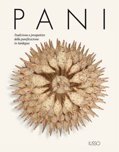 Pani