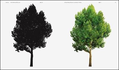 Neubau Forst Catalogue   