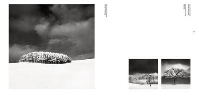 Michael Kenna - Forms of Japan