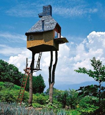 Tree Houses