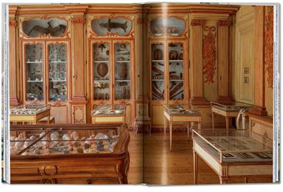 Cabinet of Curiosities
