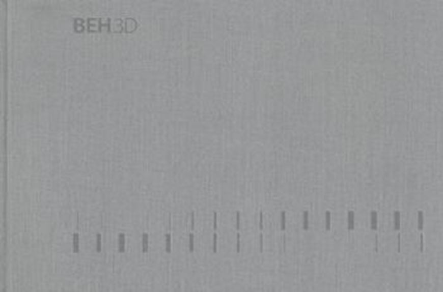 BEH 3D