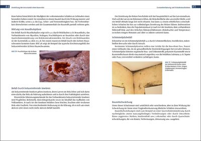 Bauwerksanalyse