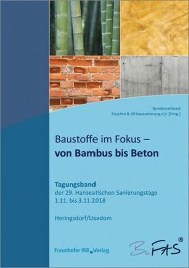 Baustoffe im Fokus - von Bambus bis Beton EBOOK
