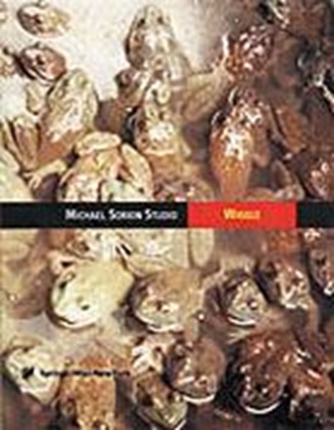 Michael Sorkin Studio: Wiggle   