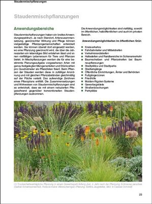 Pflegereduzierte Grünflächen