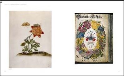 Maria Sibylla Merian   