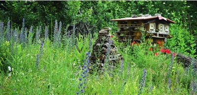 Permakultur und Naturgarten