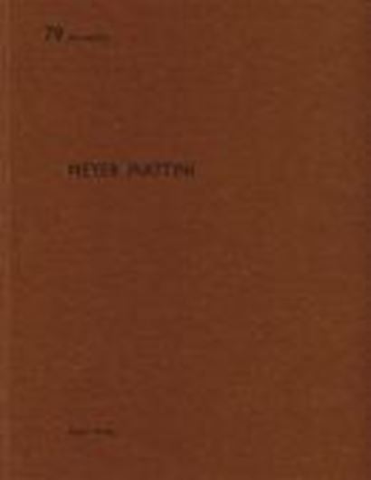 Meyer Piattini