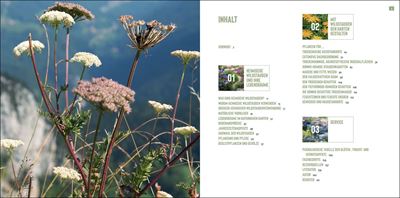 Heimische Wildstauden im Garten