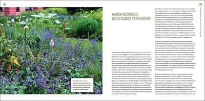 Heimische Wildstauden im Garten