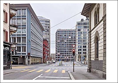 Europaallee Zürich - Gemisch, Gefüge, 76 Ginkgos