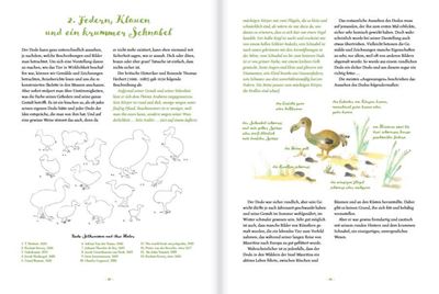 Damals der Dodo