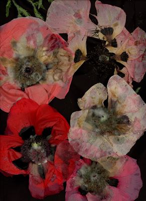 Katharina von Flotow - Memento Mori