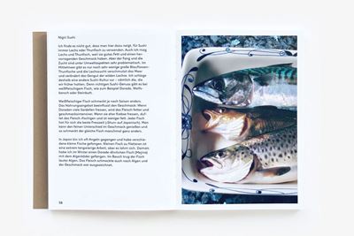 Man kann keine Steine essen