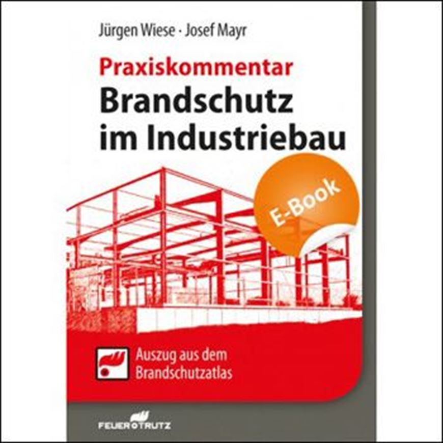 Brandschutz im Industriebau EBOOK