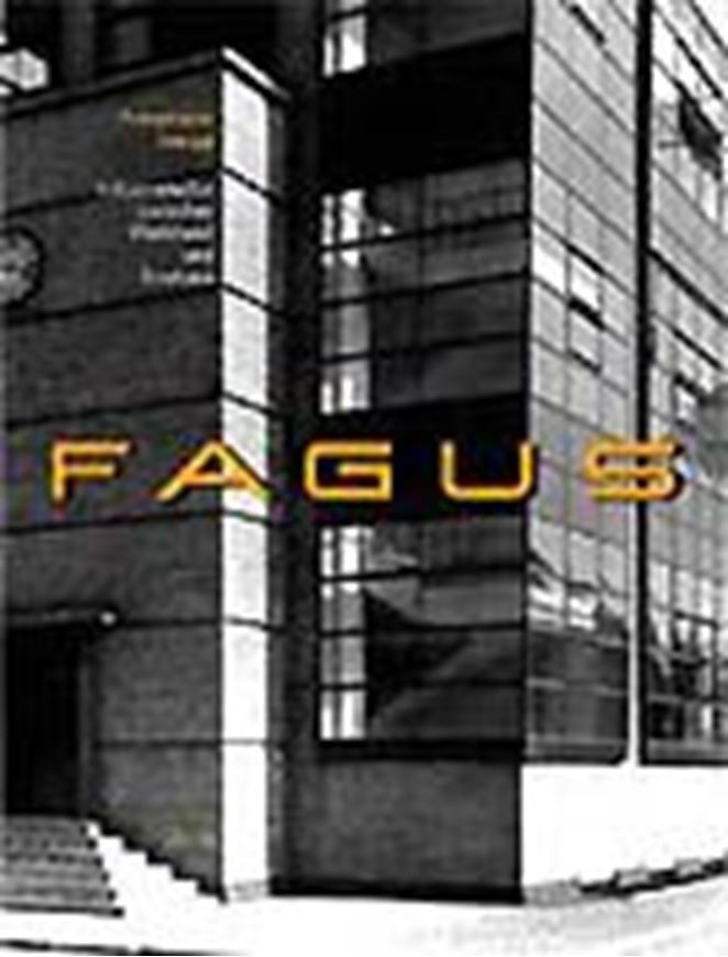 Fagus   