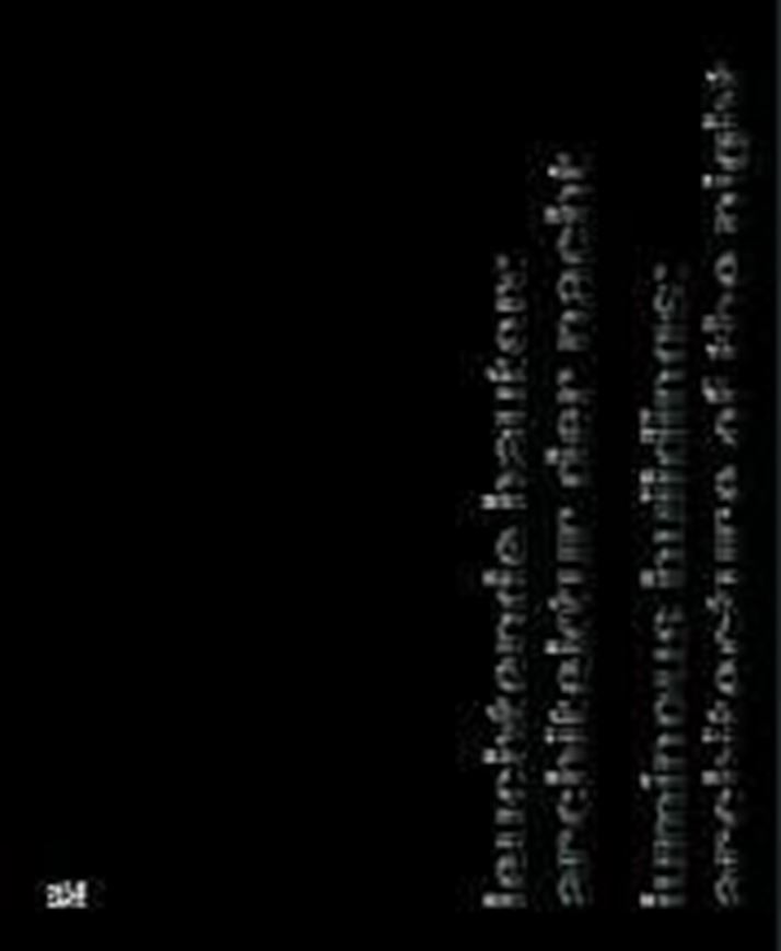 Leuchtende Bauten: Architektur der Nacht