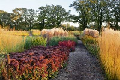 Design für pflegeleichte Gärten