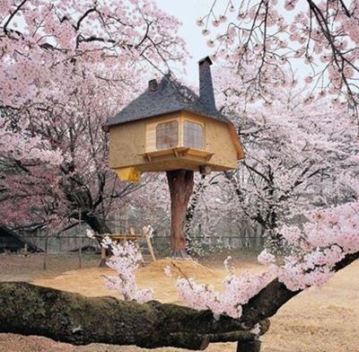 Tree Houses
