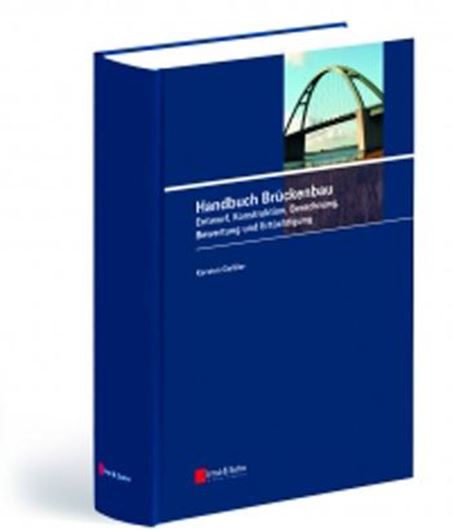 Handbuch Brückenbau