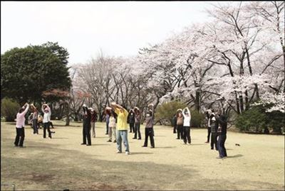 Mein Tokio 1953 - 2013