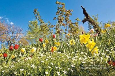 Ein Garten für das 21. Jahrhundert