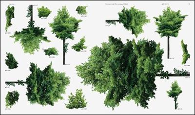 Neubau Forst Catalogue   
