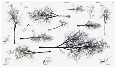 Neubau Forst Catalogue   