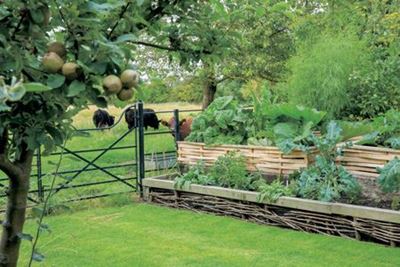 Gartengestaltung mit Hochbeet   