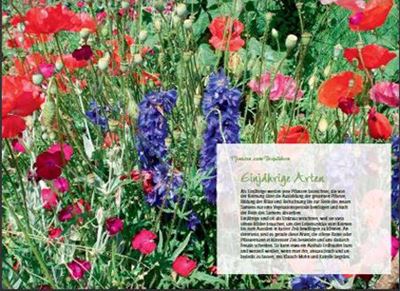 Mein ungezähmter Garten   