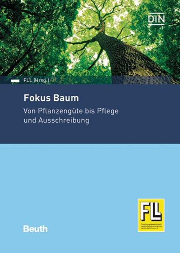 Fokus Baum