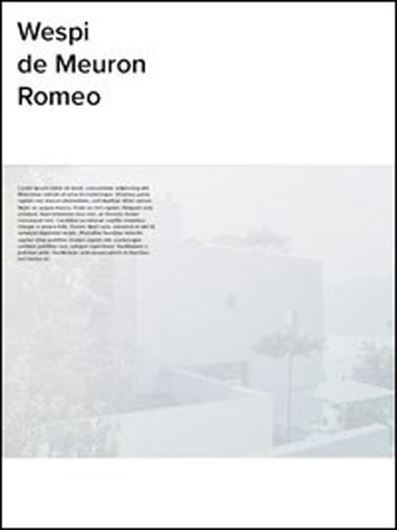 Wespi - de Meuron - Romeo