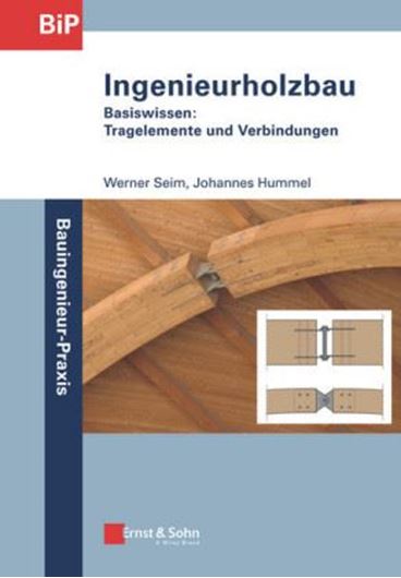 Ingenieurholzbau - Basiswissen - EBOOK