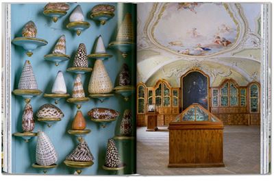 Cabinet of Curiosities