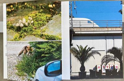 urbainable/stadthaltig