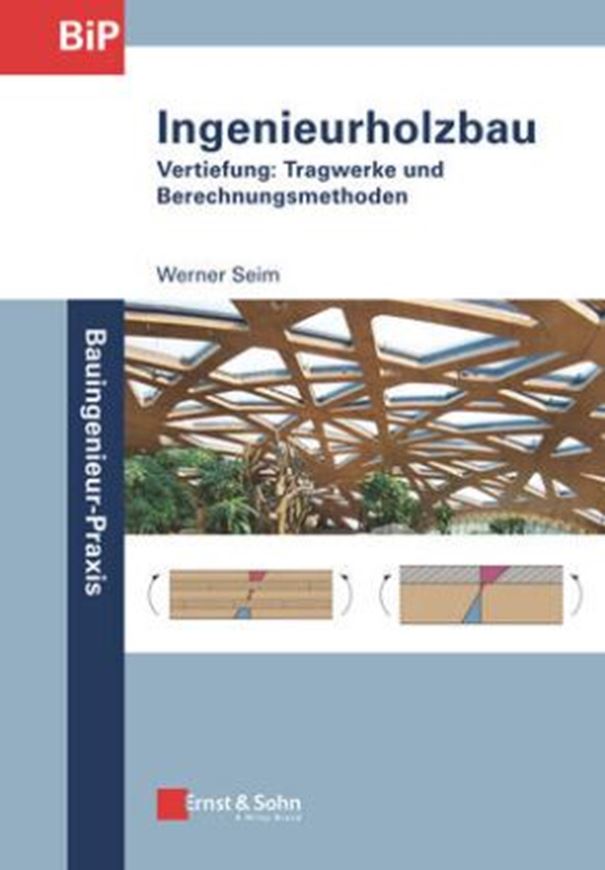 Ingenieurholzbau - Vertiefung - inkl. EBOOK