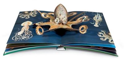 Wunderwesen aus der Tiefe