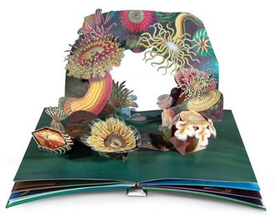 Wunderwesen aus der Tiefe