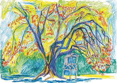 Mit dem Stift die Welt erfassen