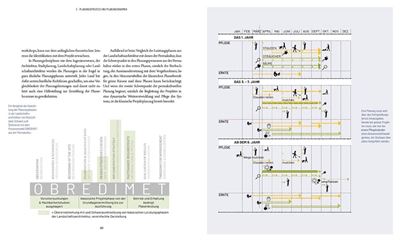 Planungspraxis Permakultur