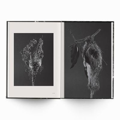 Behausungen-Fragile Architektur