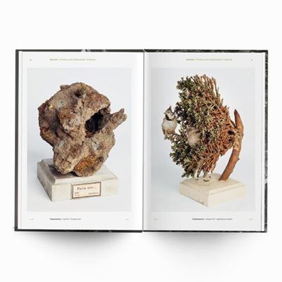 Behausungen-Fragile Architektur