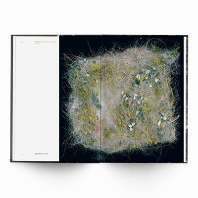 Behausungen-Fragile Architektur