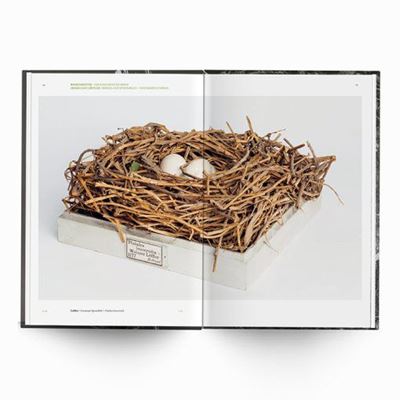 Behausungen-Fragile Architektur