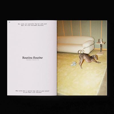 Dialog between Disciplines