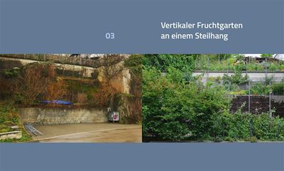 Wege zum Naturgarten