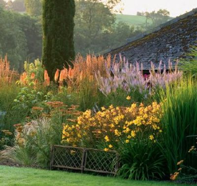 Gartengestaltung mit Stauden   