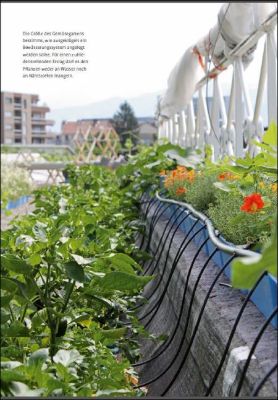 Urban Gardening   